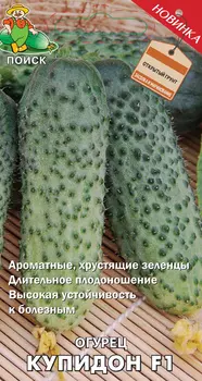 Семена Огурец «Купидон» F1, 2 г