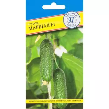 Семена Огурец «Маршал» F1