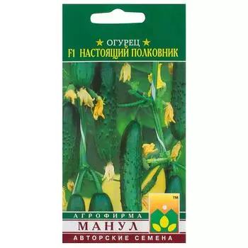 Семена Огурец «Настоящий полковник» F1