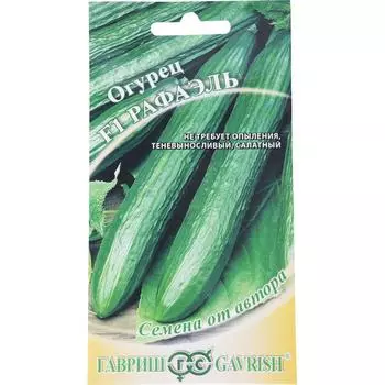 Семена Огурец «Рафаэль» F1