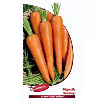 Семена овощей морковь Олимпус