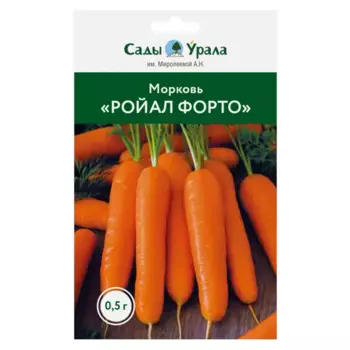 Семена овощей морковь Ройал Форто
