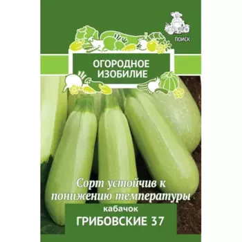 Семена овощей Поиск кабачок Грибовские 37
