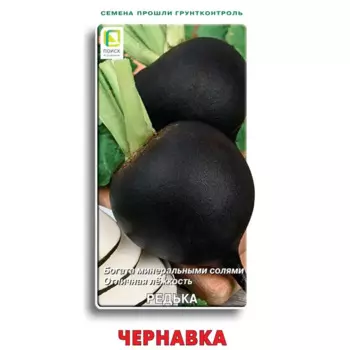 Семена овощей Поиск редька Чернавка