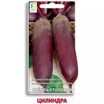 Семена овощей Поиск свекла столовая Цилиндра