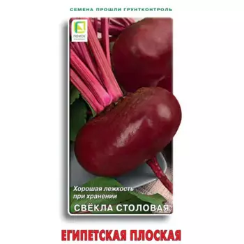 Семена овощей Поиск свекла столовая Египетская плоская
