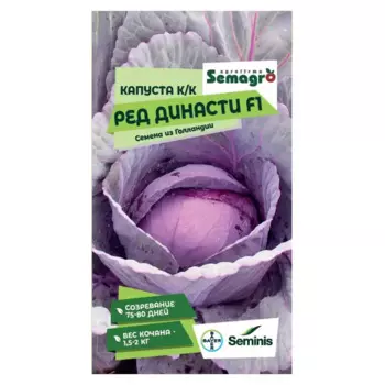 Семена овощей Seminis капуста белокочанная Ред Династи F1
