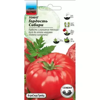 Семена овощей томат Гордость Сибири 20 шт.