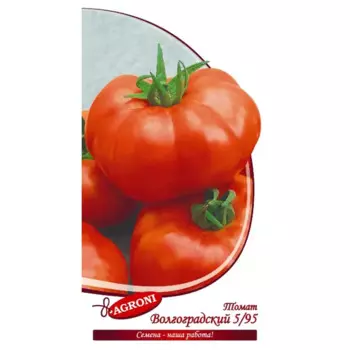 Семена овощей томат Волгоградский