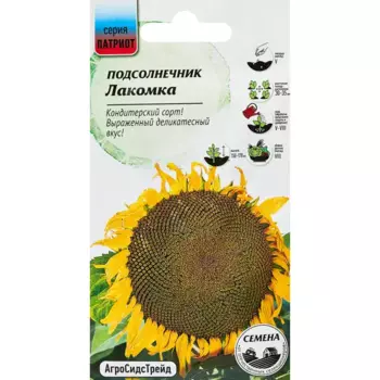 Семена подсолнечник Лакомка