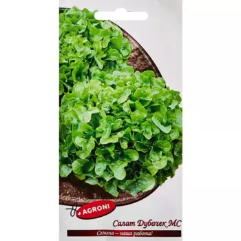 Семена пряных трав Agroni салат Дубачек МС