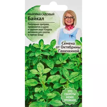 Семена пряных трав майоран Байкал