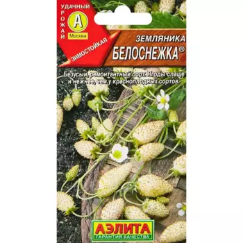 Семена ягод Аэлита земляника Белоснежка