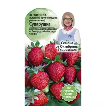Семена ягод клубника ремонтантная Сударушка