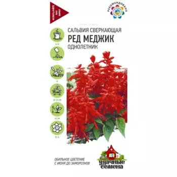 Семена Сальвия сверкающая Ред Меджик
