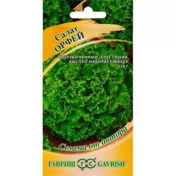 Семена Салат Орфей зеленый хрустящий 1.0 г