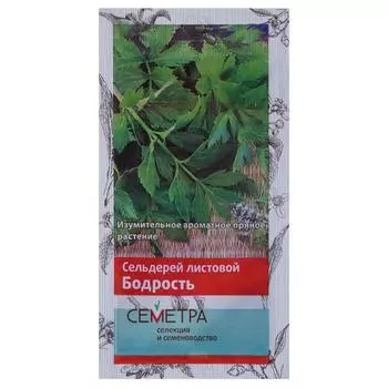 Семена Сельдерей листовой «Бодрость»