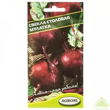 Семена Свёкла «Мулатка»