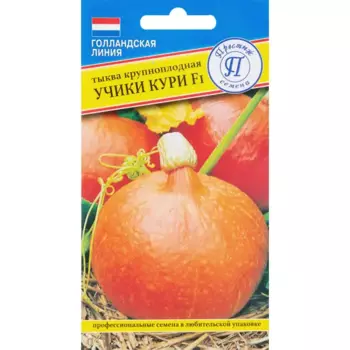 Семена Тыква крупноплодная «Учики Кури» F1