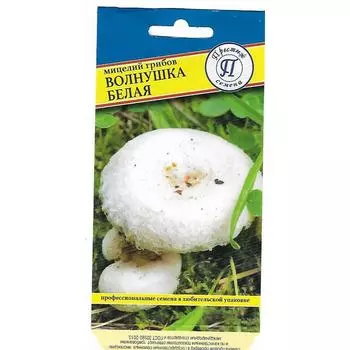 Семена Волнушка белая