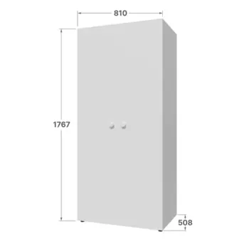 Шкаф распашной Белое солнце с 2 дверями 81x176.7x50.8 см ЛДСП цвет белый