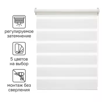 Штора рулонная день-ночь Inspire Peter 100x160 см белая White 0