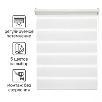 Штора рулонная день-ночь Inspire Peter 120x175 см белая White 0