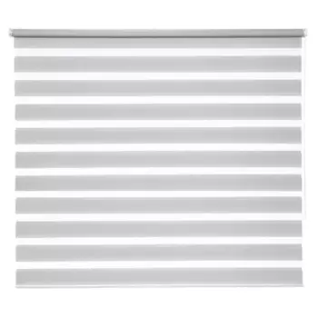 Штора рулонная день-ночь Inspire Peter 180x175 см светло-серая