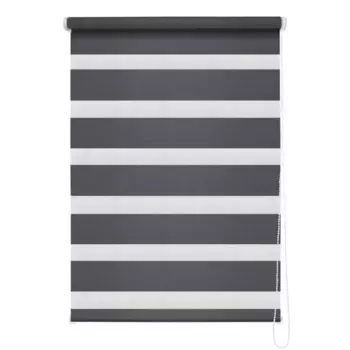 Штора рулонная день-ночь Madrid 100x160 см графит