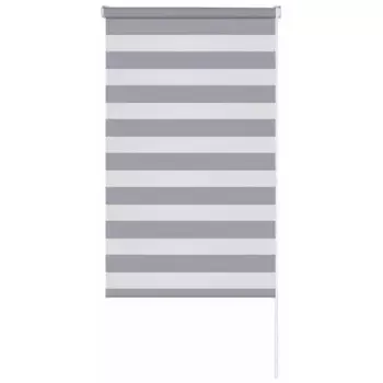 Штора рулонная день-ночь Петер 55x160 см серая