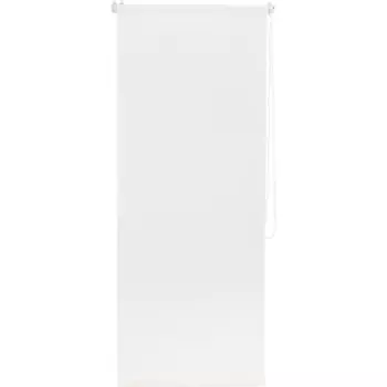 Штора рулонная Inspire Шантунг 110x250 см белая