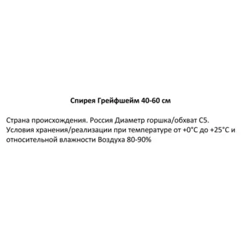 Спирея Грейфшейм 22 h40-60 см