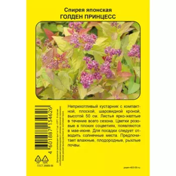 Спирея японская Голден Принцесс h39 см