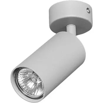 Спот поворотный Arius 3 м GU10 цвет серый