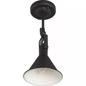 Спот поворотный Gaston 1 лампа 3 м² цвет чёрный/белый