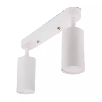 Спот поворотный Ritter Arton 2 лампы GU10 цвет белый