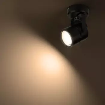 Спот поворотный точечный накладной Ritter Arton 59963 0 GU10 цвет черный