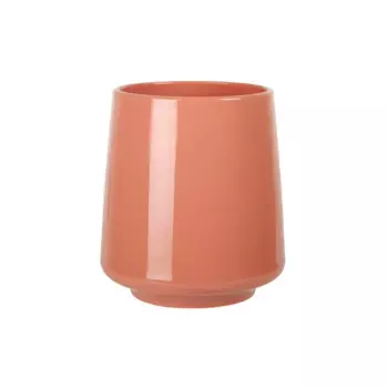 Стакан для зубных щёток Zenfort Блум пластик цвет коралл