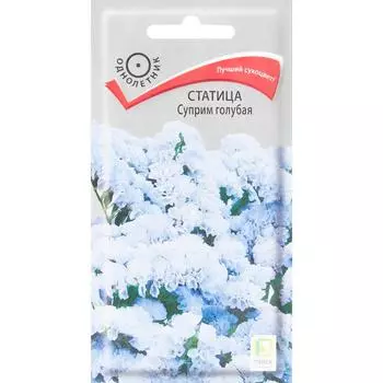 Семена цветов Статица Суприм голубая Поиск