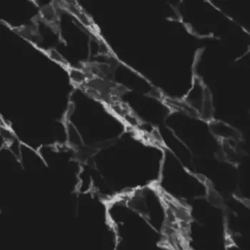 Стеновая панель ПВХ Крестола черный 3000x600x0.75 мм 1.8 м