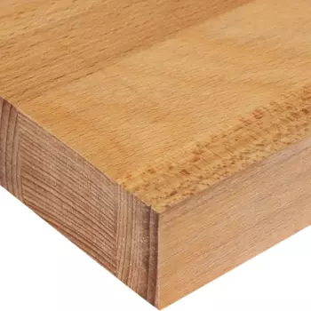 Столешница 120x60x4 см массив дерева цвет бук
