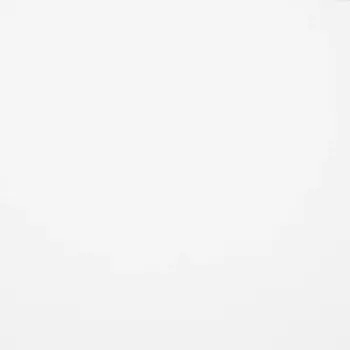 Столешница Delinia Серия Супер-белый 120x3.8x60 См Дбсп/дсп Цвет Белый