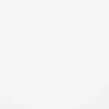 Столешница Delinia Серия Супер-белый 244x3.8x60 См Дбсп/дсп Цвет Белый