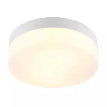 Светильник для ванной Arte Lamp «Aqua» 60 Вт IP44 цвет белый, накладной