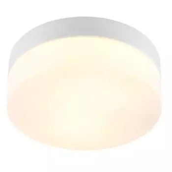 Светильник для ванной Arte Lamp «Aqua» E27 60 Вт IP44 цвет белый, накладной