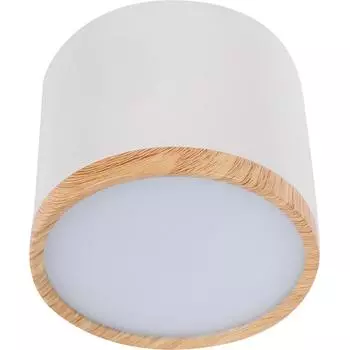 Светильник накладной светодиодный SPOT07-CLL10W, 10 Вт