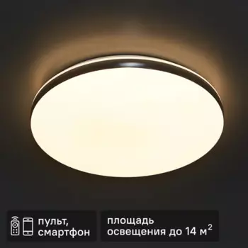 Светильник настенно-потолочный Сонекс Tan LED 48W 390 цвет хром Smart