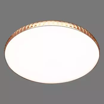 Светильник настенно-потолочный светодиодный Dina Amber 2078/EL с пультом управления, 18 м², регулируемый свет, цвет белый