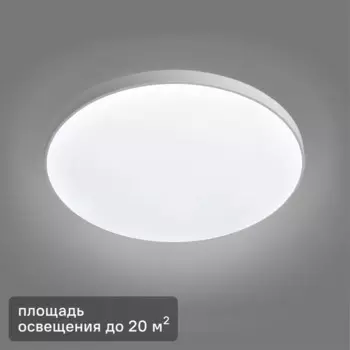 Светильник настенно-потолочный светодиодный Leek 40 Вт круг IP65 нейтральный белый свет