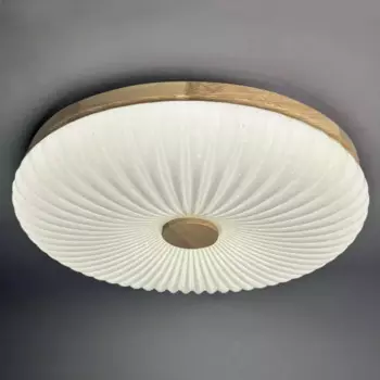 Светильник настенно-потолочный светодиодный Лила 90 Вт с пультом управления 34 м регулируемый свет цвет белый